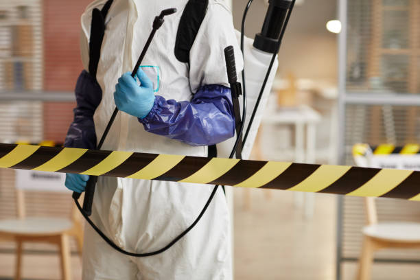 Professional Odor Removal technician working in Burbank, IL
